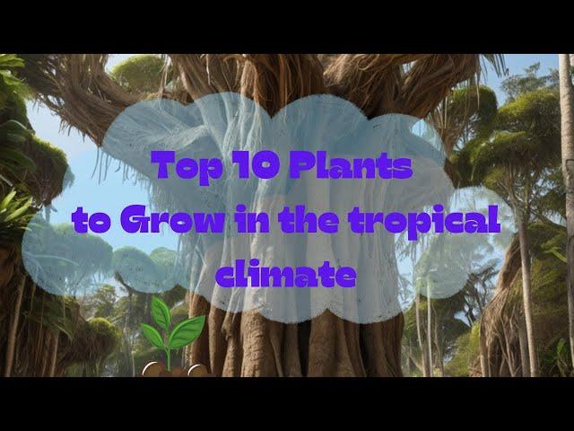 Top 10 Plants to Grow in the tropical climate. HaoHao happy