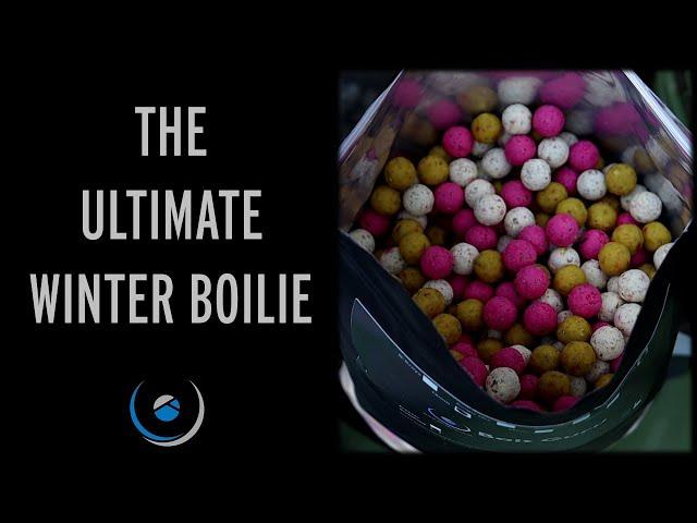 The Perfect Winter Carp Bait | The Essential Fruit Boilie | Product Focus