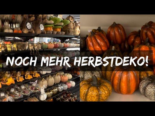  HERBSTDEKO-SHOPPING BEI ACTION/TEDI/NKD | COWGIRL SARAH 