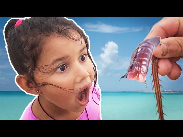 Zoe and Daddy Catching Worms On The Beach - SEA WORMS WOW Plus Hermit Crabs