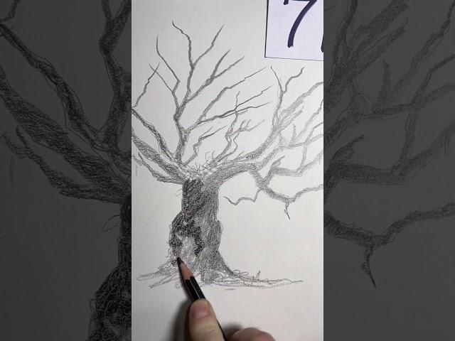 Make a quick sketch of the 2024 UK tree of the year with me.