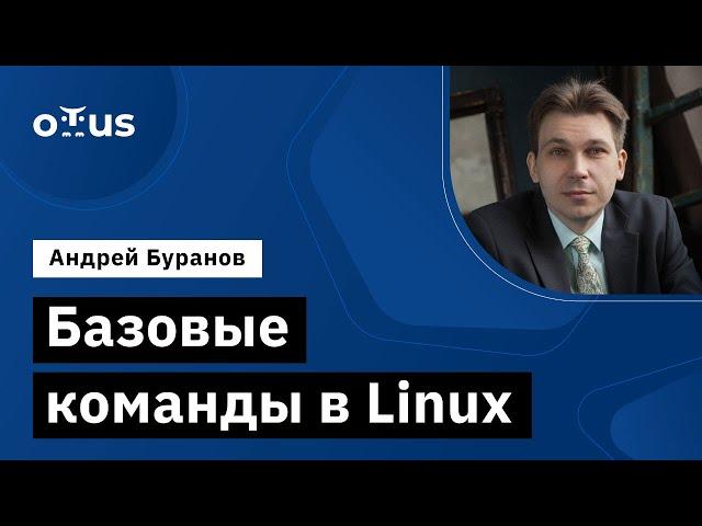 Базовые команды в Linux // Демо-занятие курса «Administrator Linux»