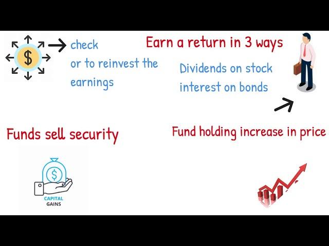 How Mutual Fund Works?