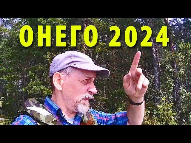 Трейлер похода на Онего | Поход 2024