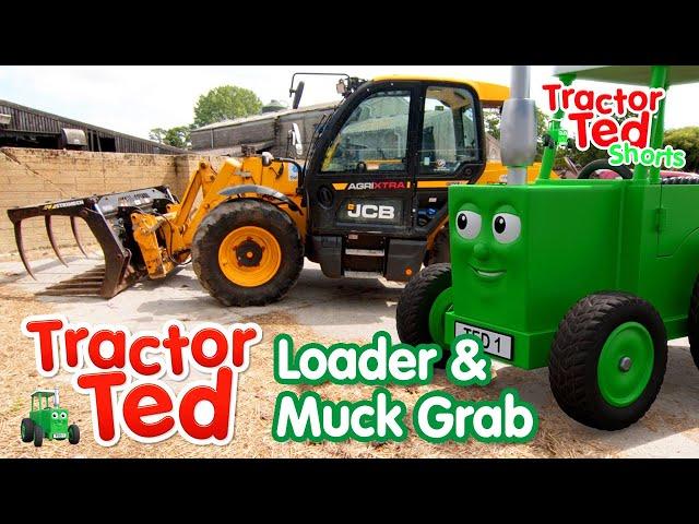 Lets Look At The Loader & Muck Grabber  | Tractor Ted Shorts | Tractor Ted Official Channel