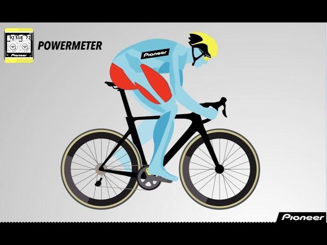 Which Muscles Are Used When Riding a Bike?