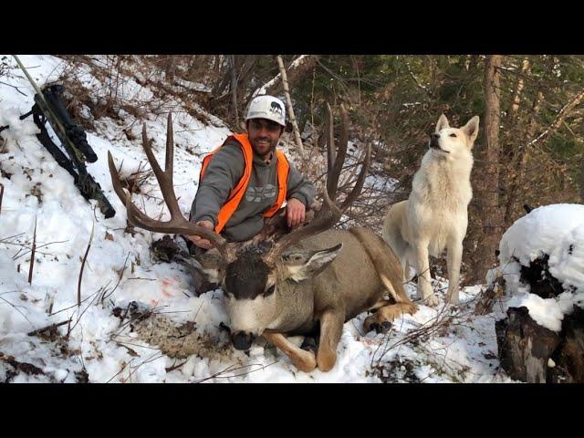 Montana Public Land Mule Deer Episode 8