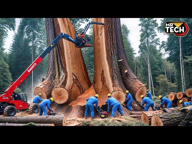 Extreme Dangerous Fastest Big Chainsaw Cutting Tree Machines | Monster Stump Removal Excavator #66