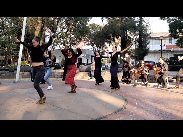 Flashmob del Estudio Mucho Arte en la CDMX