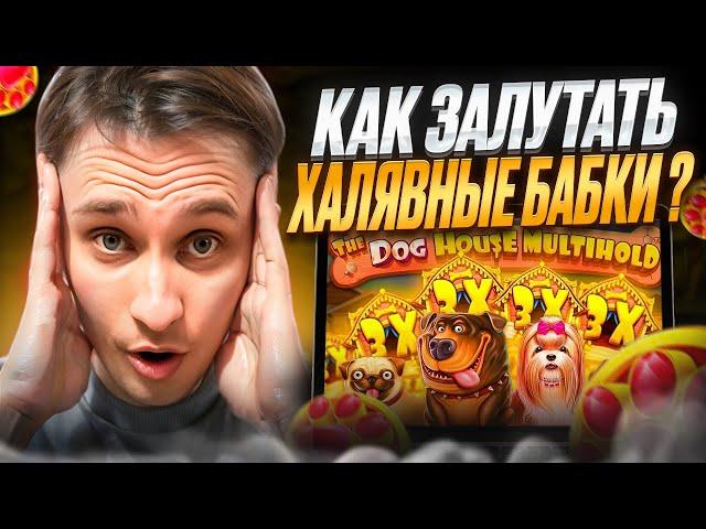  20к за СПИН - ЛЮТЕЙШИЙ ЗАНОС в DOG HOUSE, СОБАКИ ЗАНОСЯТ | Dog House Megaways | The Dog House