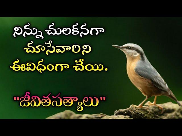 జీవిత సత్యాలు #235 |మంచి మాటలు|Inspirational quotes|Motivational quotes|సూక్తులు|Telugu quotes