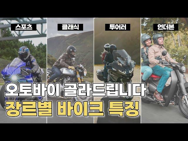 오도바이 입문자들 결정장애 올 때 보면 좋은 영상 // 장르별 바이크 특징 총정리 // 바린이를 위한 오토바이 가이드 2편