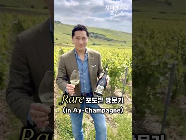 프랑스 포도밭에서 와인 마셔본 사람?!