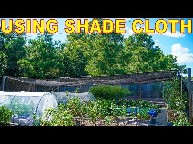 3 Ways To Use SHADE CLOTH To Protect Plants From Heat And Sun