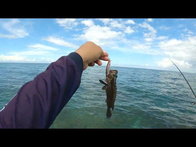 May pang ulam na | Ultralight fishing in the Philippines| Shore Casting