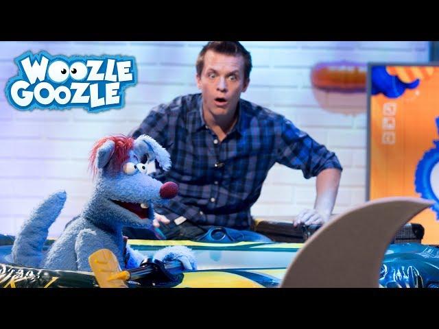 Was fressen Haie? l WOOZLE GOOZLE