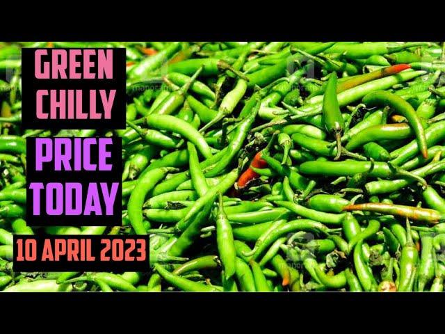 Green Chilli Wholesale Market Price  INDIA Today 10 April 2023