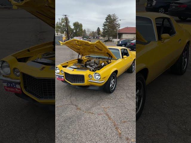 Bumblebee 1971 Camaro Split Bumper FOR SALE