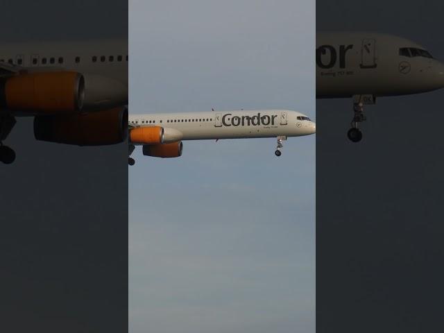 Flying pencil B757-300 | Condor