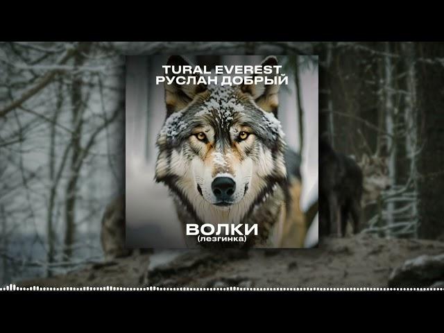 Tural Everest & Ruslan Dobry - Волки | Лезгинка 2024