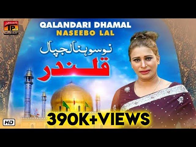 Toon Sonra Lagpal Qalandar | Naseebo Lal | TP Manqabat