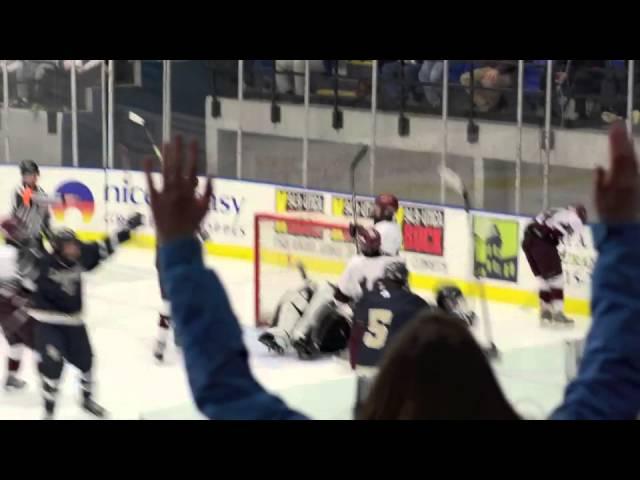 Auburn boys hockey wins Section III, Division II championship