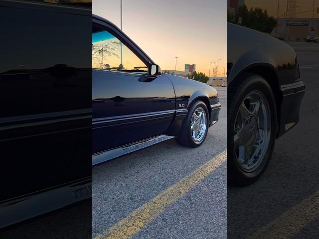 PERFECT Supercharged Foxbody Mustang GT // Toronto Foxbody Club  #foxbodymustang #mustang #car