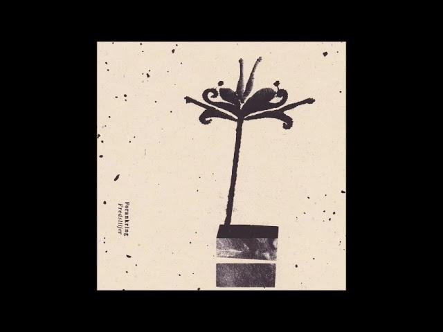 Forankring - Primula
