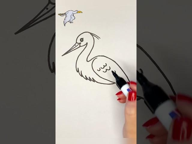 Learn to Draw a Cute Bird: Fun and Easy!