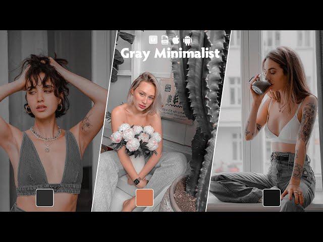 Gray Minimalist Lightroom Presets Free Download 2022 | Gray Presets Lightroom Free | Gray Preset Lr