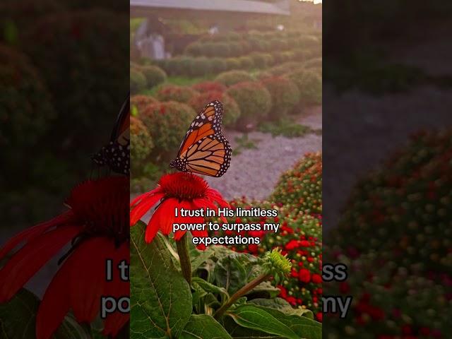 **Day 22 of 30-Day Affirmation Reading: Declaration 1/3 - Ephesians 3:20 - "Now to Him who is able