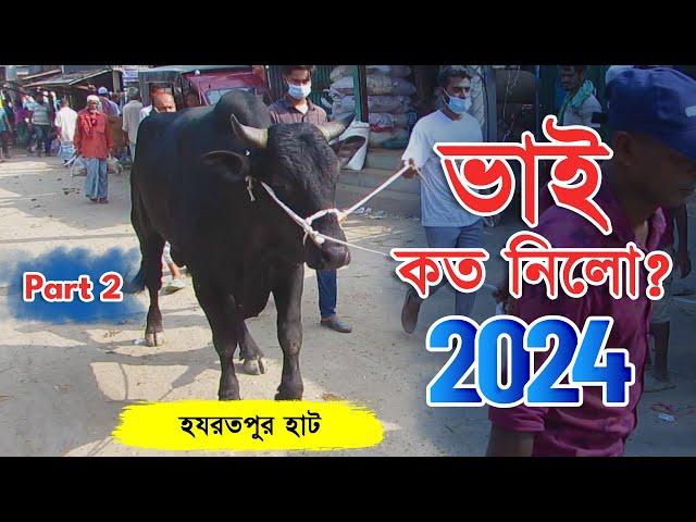 Bhai Koto Nilo 2024 | Hozrotpur Cattle Market | Qurbani Cow Price 2024 | Gorur Haat Update, Part: 02