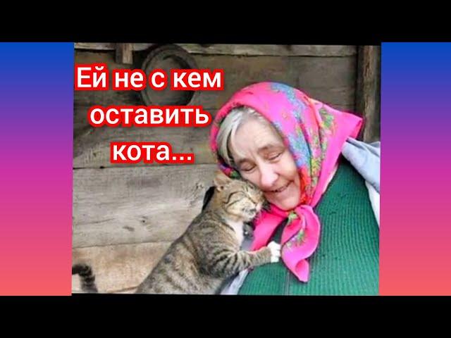 Ей не с кем оставить кота... Душевное стихотворение