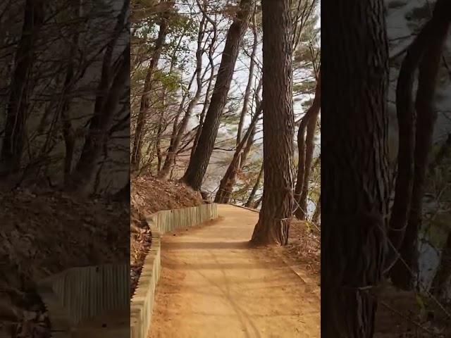 땅뫼산 황토숲길을 걷다!!! #부산가볼만한곳 #부산아름다운길 #부산걷고싶은곳 #땅뫼산 #황토숲길 #부산여행 #힐링 #맨발걷기 #갈맷길