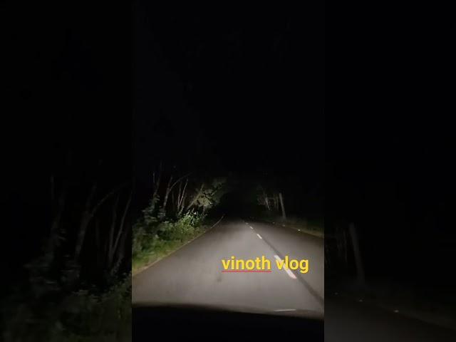 Night at deep forest #shorts #vinothvlog