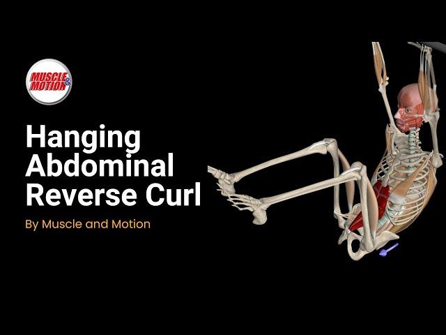 Master the Hanging Reverse Curl: Core Strength Redefined