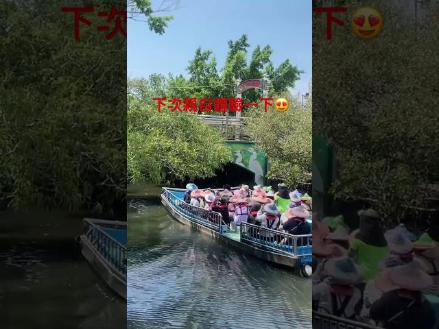 竟然不知道還有這麼好玩的地方耶️#台南#旅遊紀錄