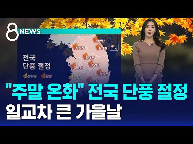 [날씨] "주말 온화" 전국 단풍 절정…일교차 큰 가을날 / SBS 8뉴스