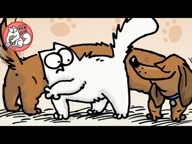 Cats Vs Dogs - Caturday Film Club