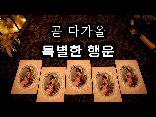 [타로] 곧 다가올 특별한 행운