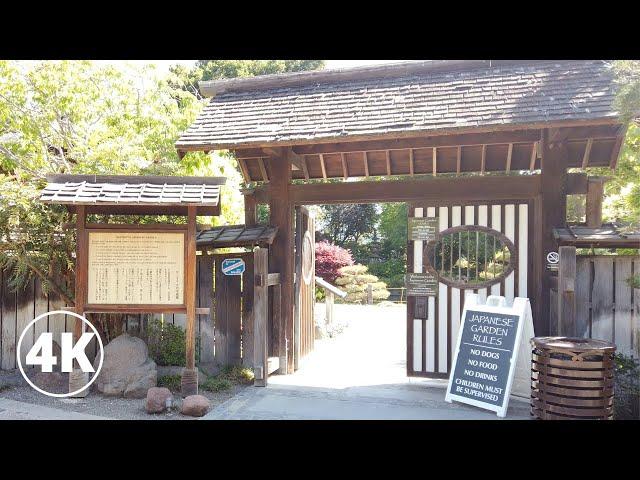 Walking in San Mateo Central Park and Downtown, California, USA, 4K