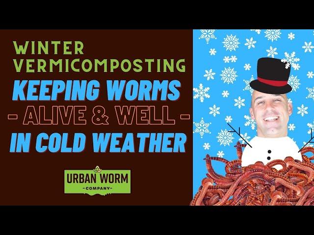 Vermicomposting in Winter: 7 Simple Tips to Save Your Worm Bin From the Cold