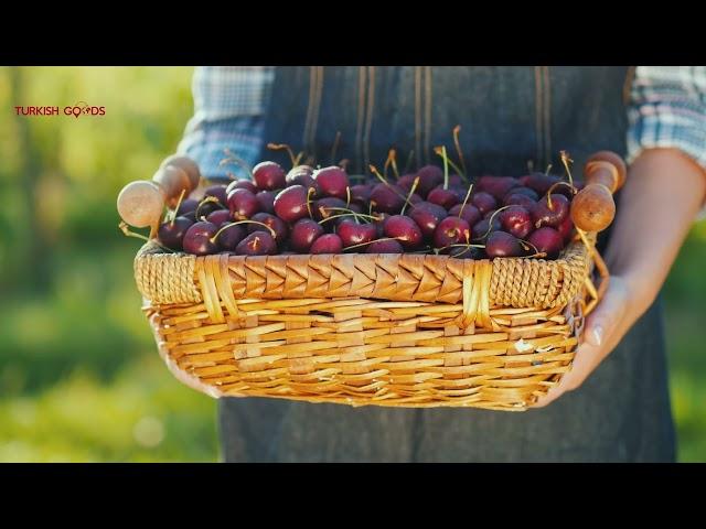 Cherries grown in Turkey's fertile soils are available at Turkish Goods!