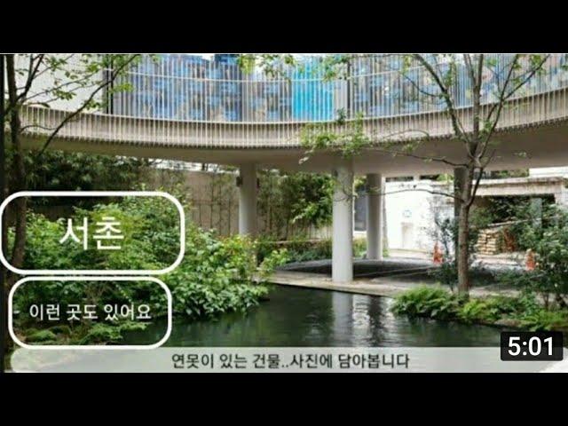 Seoul Walking Tour, Seochon: 서울산책, 서촌