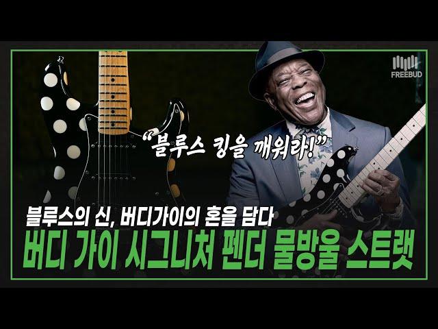 [투데이즈기어]  블루스의 황제 버디 가이가 선택한 기타  Fender Artist Series Buddy Guy Standard Stratocaster Polka Dot