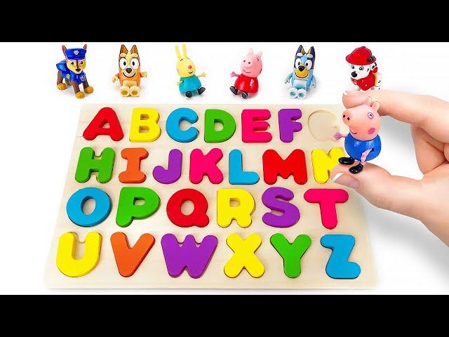 Learn ABC with Peppa Pig, Bluey and PAW Patrol | Alphabet Puzzle | Preschool Toddler Learning Videos