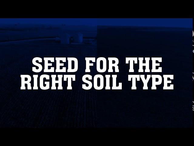 What Are the Traits of Champion Seed?