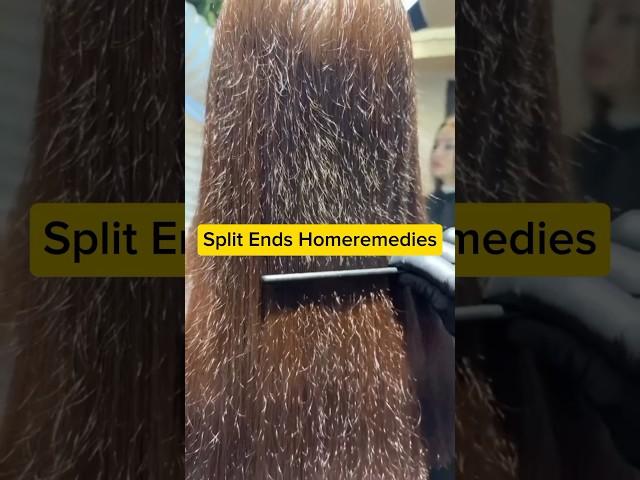 Split Ends Home Remedies/Get Long & Thick Hair Fast #shorts #haircare #splitends #anamikabarai