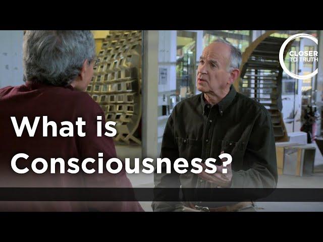 Russ Hurlburt - What is Consciousness?