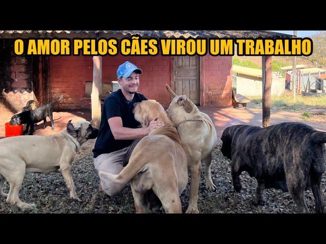 5 MOTIVOS DE CRIAR UM FILA BRASILEIRO